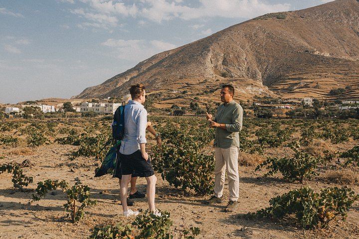 Santorini Daytime Wine Tour: 3 Wineries, Cellar Visits and 12 Tastings, 5 Hours (4/12)
