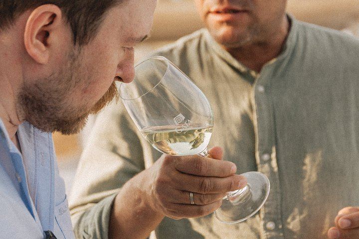 Santorini Daytime Wine Tour: 3 Wineries, Cellar Visits and 12 Tastings, 5 Hours (3/12)