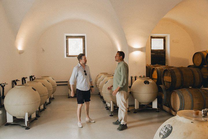Santorini Daytime Wine Tour: 3 Wineries, Cellar Visits and 12 Tastings, 5 Hours (2/12)