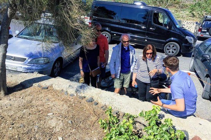 Santorini 4-Hour Small-Group Wine Tour: Argyros, Anhydrous and Karamolegos Wineries (8/12)