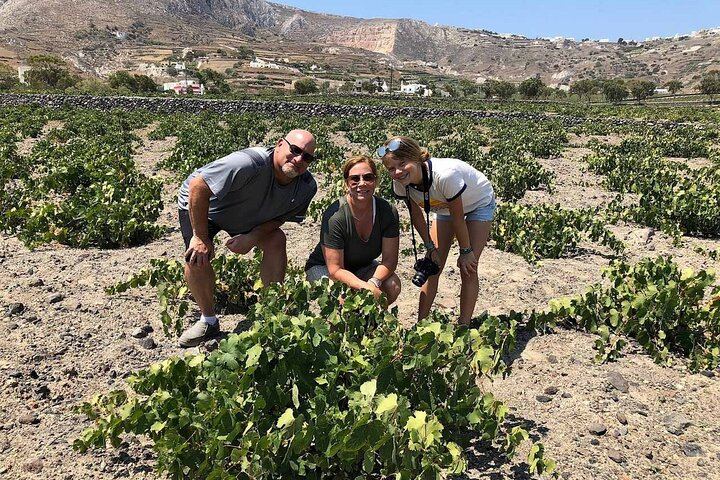 Santorini Half-Day Wine Tour to Three Wineries with 12 Tastings, Tapas and Sunset (5/12)