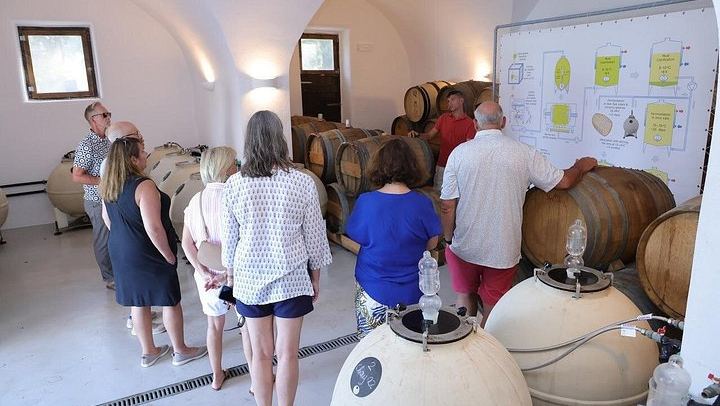 Santorini Daytime Wine Tour for Up to 8: Sommelier, Two Wineries, Eight Wines, Lunch (3/11)