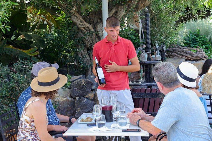 Santorini Daytime Wine Tour for Up to 8: Sommelier, Two Wineries, Eight Wines, Lunch (5/11)