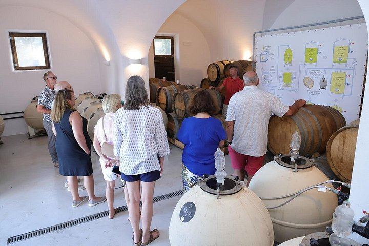 Santorini Sunset Wine Tour for Up to 8 with a Sommelier, Three Wineries and Dinner (9/12)