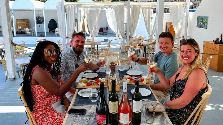 Santorini 4-Hour Small-Group Wine Tour: Argyros, Anhydrous and Karamolegos Wineries (2/12)