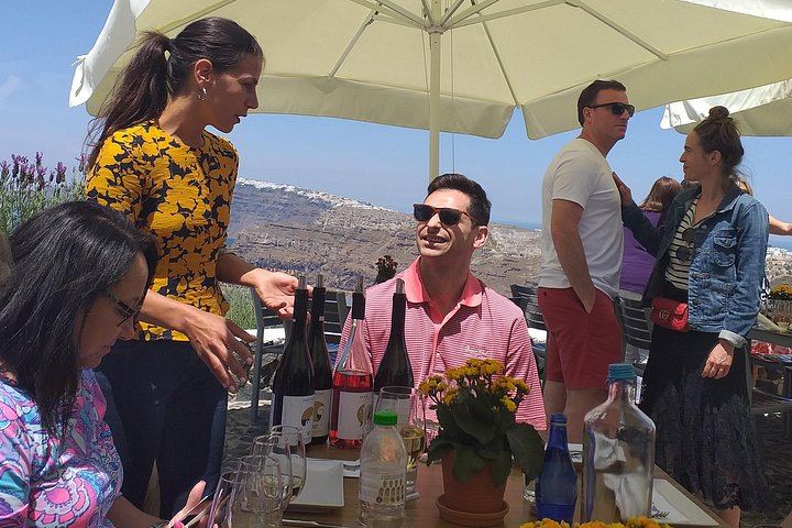 Shared Santorini Wine Tour: Art Space, Estate Argyros and Venetsanos, 12 Wines (9/12)