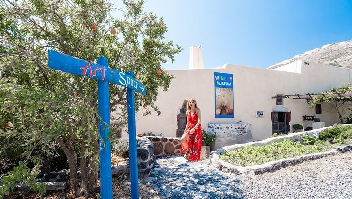 Santorini Brewery and Wine Tour: Wines, Beers, Art Space and Argyros Estate (3/7)
