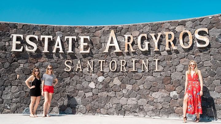 Santorini Brewery and Wine Tour: Wines, Beers, Art Space and Argyros Estate (4/7)