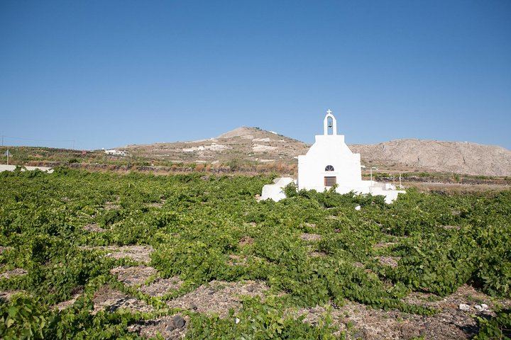 Santorini Brewery and Wine Tour: Wines, Beers, Art Space and Argyros Estate (7/7)