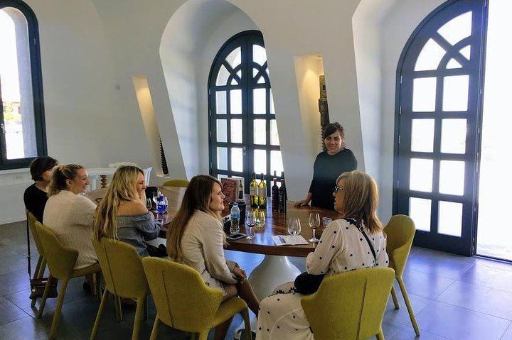 Santorini 4-Hour Small-Group Wine Tour: Argyros, Anhydrous and Karamolegos Wineries (6/12)