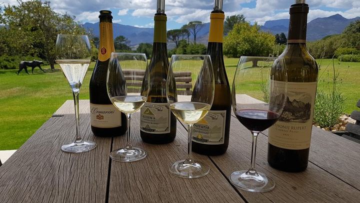 Customized Private Wine Tour: Oldenburg, Kanonkop, Rust en Vrede and Meerlust (3/7)