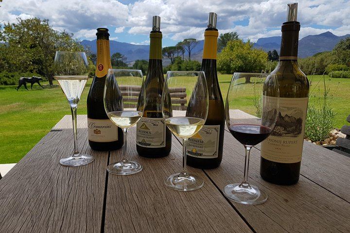 Customized Private Wine Tour: Oldenburg, Kanonkop, Rust en Vrede and Meerlust (3/7)