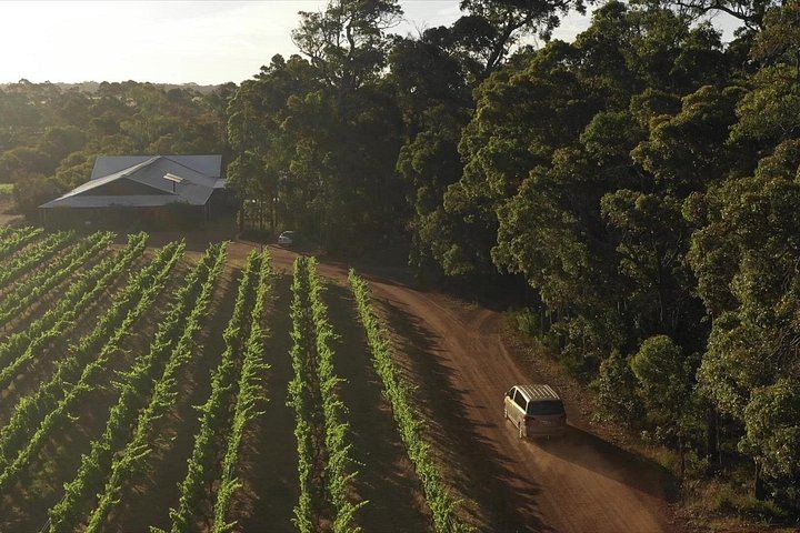 Margaret River Full-Day Hidden Gems Tour: Family Producers, Olive Farm Lunch, Emu Feeding (6/12)
