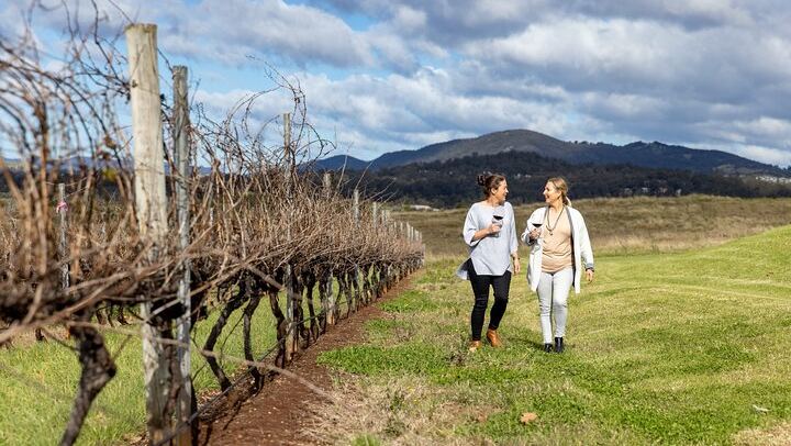 Sydney to Hunter Valley Day Tour with Three Wine Tastings, Cheese Factory and Cafe Lunch (3/12)