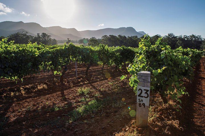 Sydney to Hunter Valley Day Tour with Three Wine Tastings, Cheese Factory and Cafe Lunch (12/12)