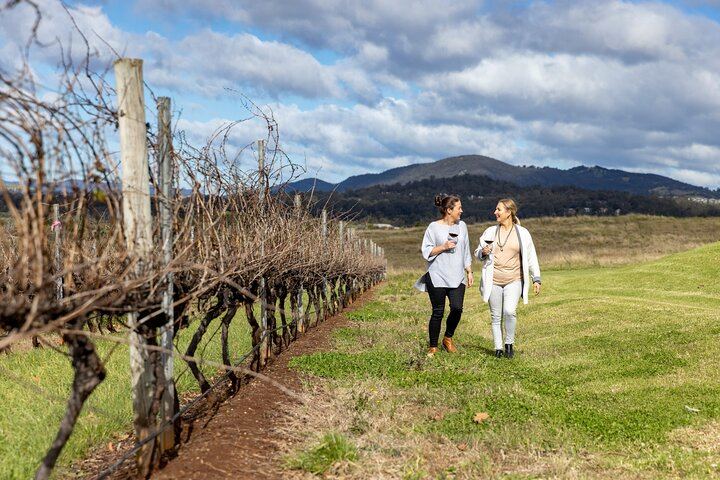 Sydney to Hunter Valley Day Tour with Three Wine Tastings, Cheese Factory and Cafe Lunch (3/12)