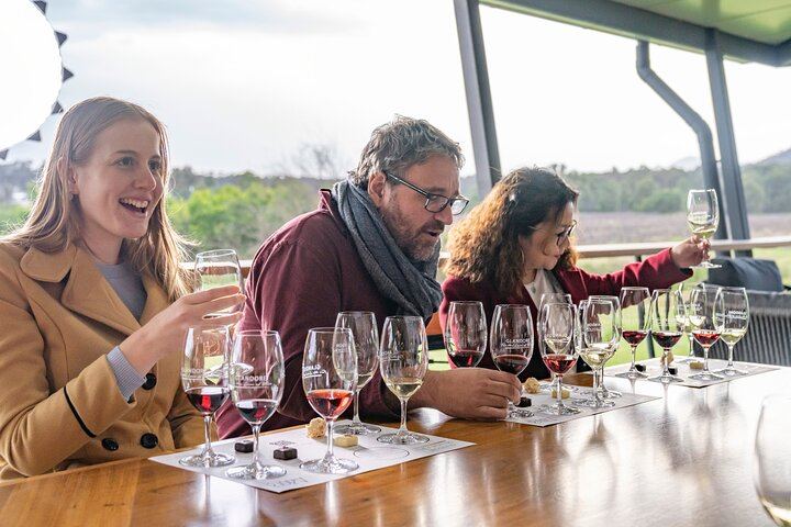 Sydney to Hunter Valley Day Tour with Three Wine Tastings, Cheese Factory and Cafe Lunch (11/12)