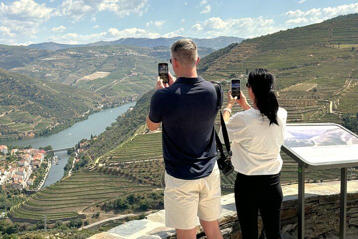Douro Valley Boutique Wineries Day Trip from Porto: Family Producers, 8 Per Vehicle (6/12)