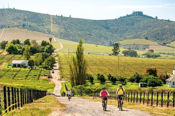Stellenbosch Luxury E-Bike Winelands Tour with Premium Tastings and Lunch