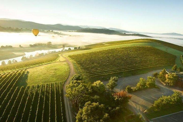 Small-Group Yarra Valley Afternoon Tour: Chandon, Chocolate and Sunset Kangaroos (5/12)