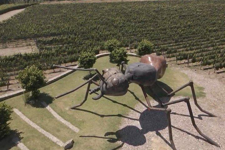 Huentala Wines Gualtallary Lunch: Group Shuttle from Mendoza with Wine Pairing (7/8)