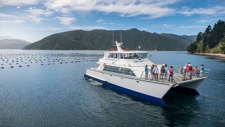 Marlborough Icons Full-Day Tour: Two Wineries and Seafood Cruise on Queen Charlotte Sound (4/10)