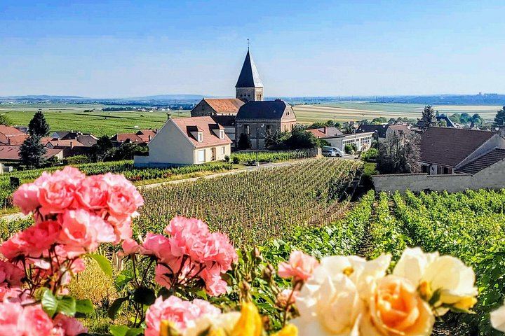 Private Reims Champagne Day: Veuve Clicquot Cellars, Cathedral, Rilly-la-Montagne Grower (9/12)
