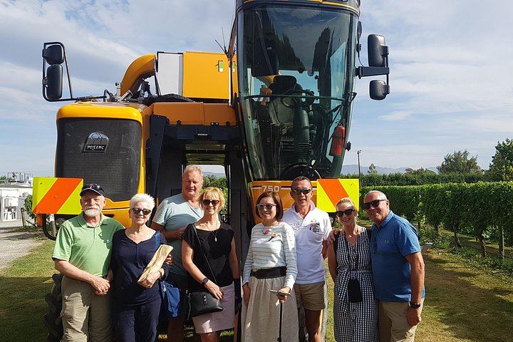 Full-Day Marlborough Wine Tasting Tour, Door to Door from Picton or Blenheim (10/10)