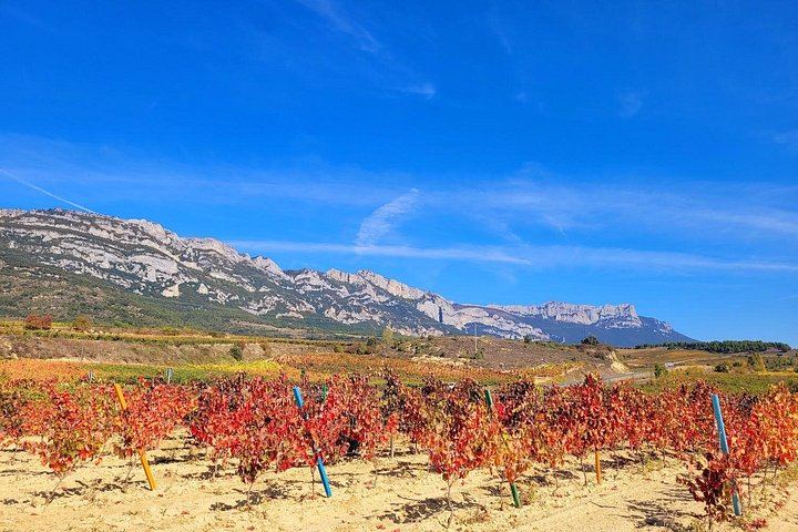 Semi-Private Rioja Day from Bilbao: Haro Cellar, Family Bodegas and Laguardia (10/10)