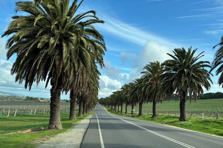 Barossa Valley Private Full-Day Tour for up to 4 in a Land Cruiser Prado (7/12)