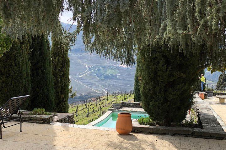 Premium Private Douro Valley Wine Tour with Hotel Pickup and Safe Travels (9/12)