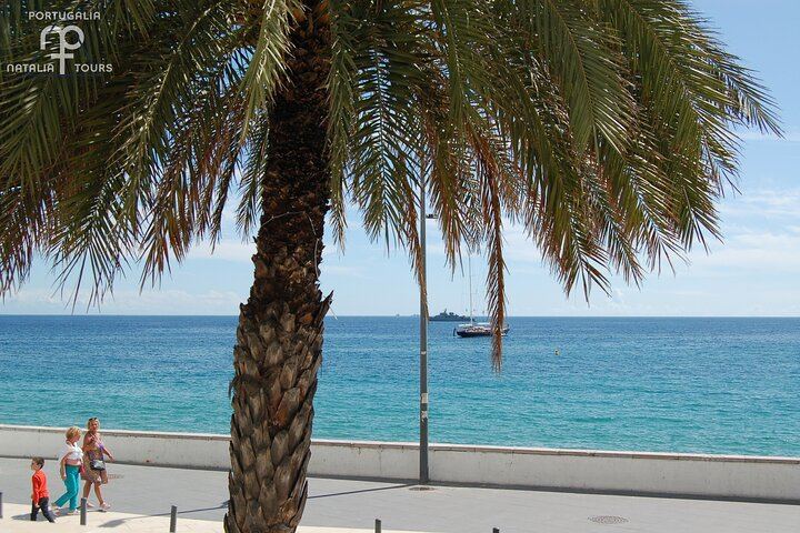 Private Half-Day Sesimbra Tour: Moorish Castle, Bacalhôa Wines and Hilltop Swing (8/12)