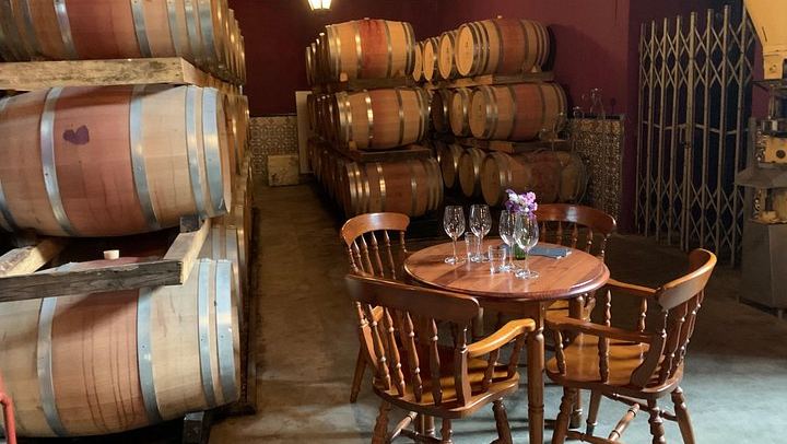 Setúbal Wine Tour 40 Minutes from Lisbon: Two Cellars and Moscatel Roxo Tasting (2/12)