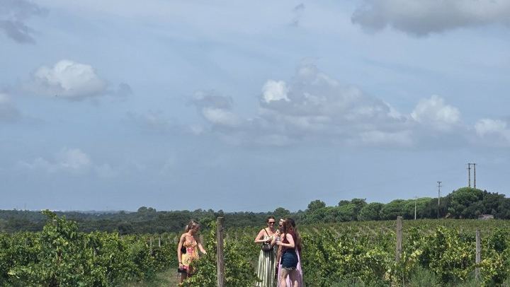 Setúbal Wine Tour 40 Minutes from Lisbon: Two Cellars and Moscatel Roxo Tasting (3/12)