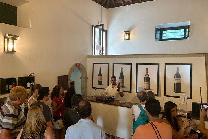 Setúbal Wine Tour 40 Minutes from Lisbon: Two Cellars and Moscatel Roxo Tasting (7/12)