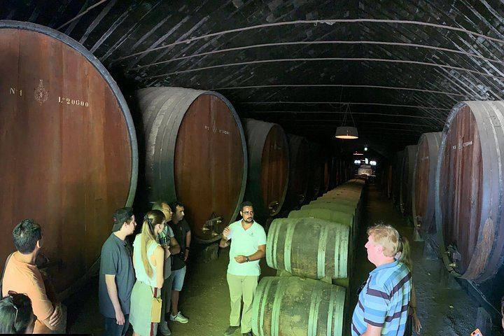 Setúbal Wine Tour 40 Minutes from Lisbon: Two Cellars and Moscatel Roxo Tasting (6/12)