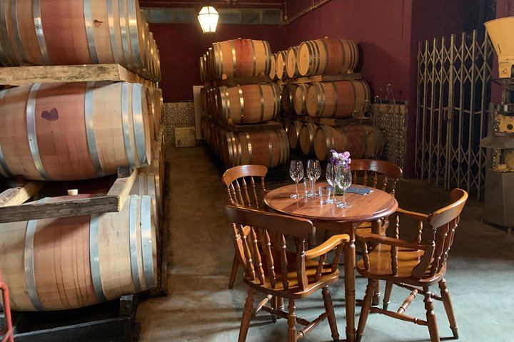 Setúbal Wine Tour 40 Minutes from Lisbon: Two Cellars and Moscatel Roxo Tasting (2/12)