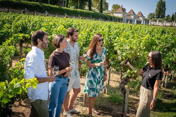 Setúbal Day Trip from Lisbon: Bacalhôa Winery, Livramento Market and São Filipe Castle