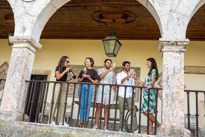 Setúbal Day Trip from Lisbon: Bacalhôa Winery, Livramento Market and São Filipe Castle (1/12)