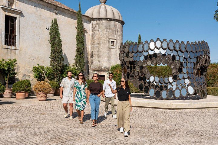 Setúbal Day Trip from Lisbon: Bacalhôa Winery, Livramento Market and São Filipe Castle (2/12)