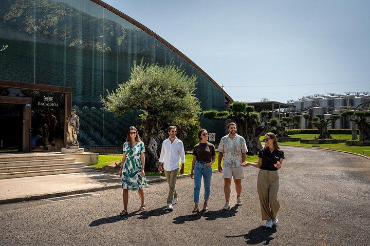 Setúbal Day Trip from Lisbon: Bacalhôa Winery, Livramento Market and São Filipe Castle (7/12)