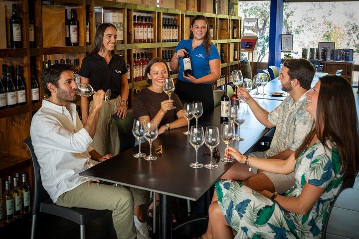 Setúbal Day Trip from Lisbon: Bacalhôa Winery, Livramento Market and São Filipe Castle (11/12)