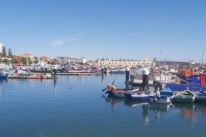 Private Setúbal Day with Local Guide: Livramento Market, Azeitão Tiles and Five Wines (7/12)