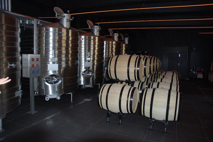 Private Champagne Tour from Paris, WSET 3 Guide: Sixth-Generation Grower, Moët & Chandon (4/11)