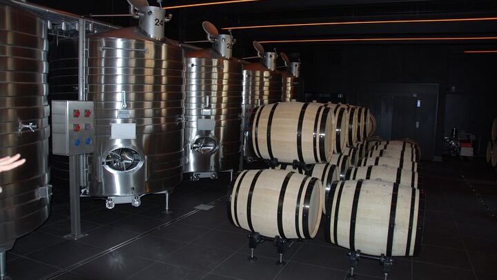 Private Champagne Tour from Paris, WSET 3 Guide: Sixth-Generation Grower, Moët & Chandon (4/11)