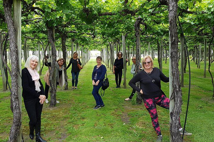 Picton Cruise Passenger Wine Tour: 5-6 Hours, Four Wineries, Chocolate, Max 11 (6/8)