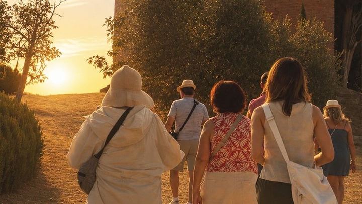 Siena Chianti Sunset at San Giorgio a Lapi: Winery Visit, Tasting and Terrace Dinner (2/12)