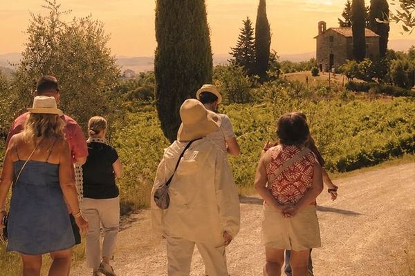 Siena Chianti Sunset at San Giorgio a Lapi: Winery Visit, Tasting and Terrace Dinner