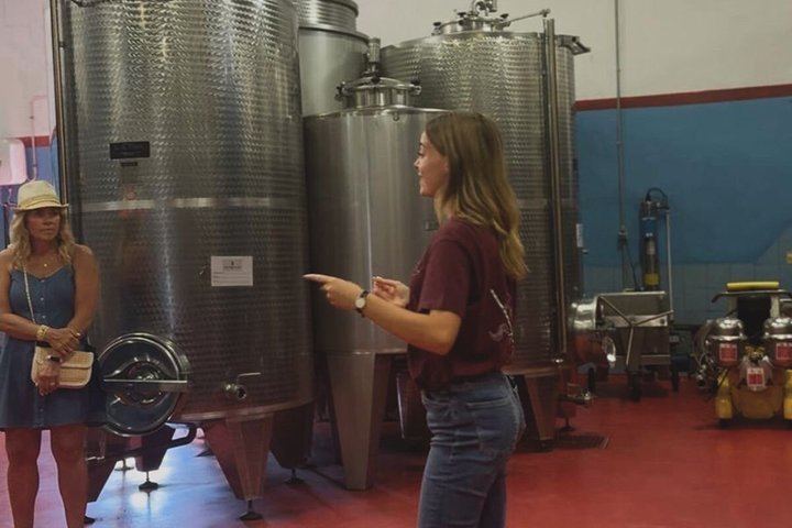 Siena Chianti Sunset at San Giorgio a Lapi: Winery Visit, Tasting and Terrace Dinner (9/12)