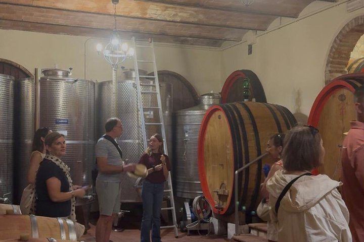 Siena Chianti Sunset at San Giorgio a Lapi: Winery Visit, Tasting and Terrace Dinner (12/12)